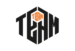 Логотоип TeamTeam